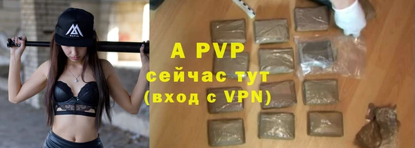 хмурый Михайловск