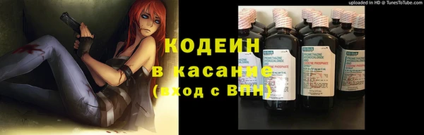 спиды Мегион