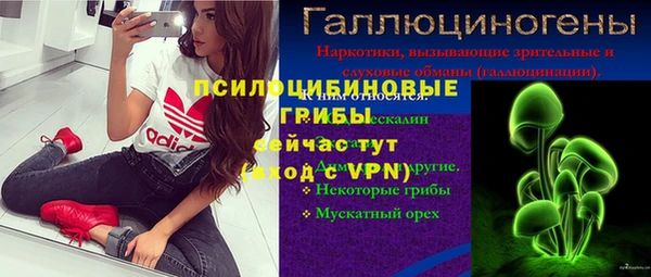 ECSTASY Тында