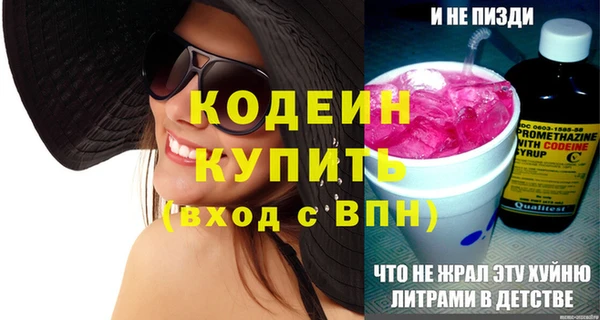 хмурый Михайловск